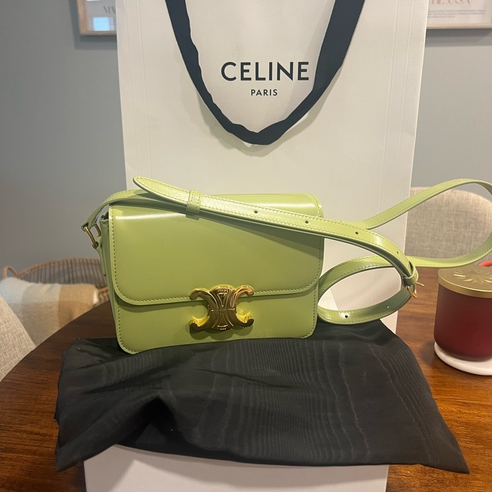 Celine Teen Triomphe Bag in Shiny Calfskin in Light Jade - Picture 2 of 11